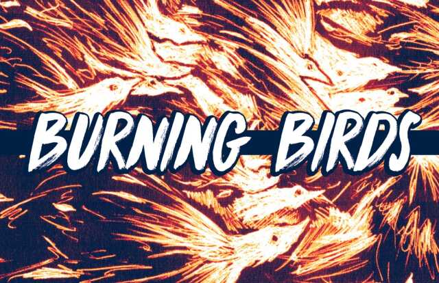 Burning Birds en concert