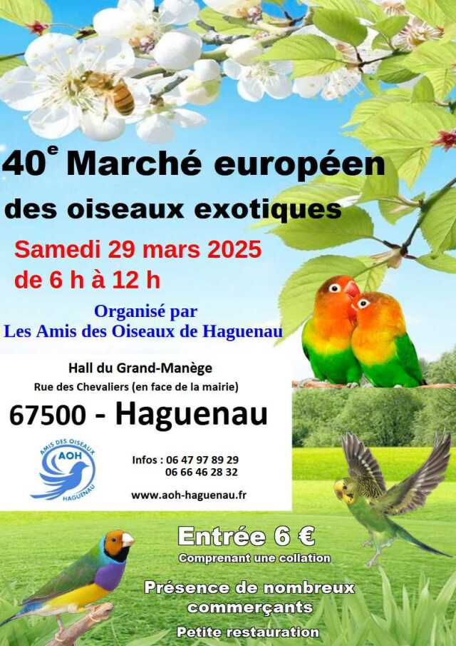 40e marché européen des oiseaux exotiques