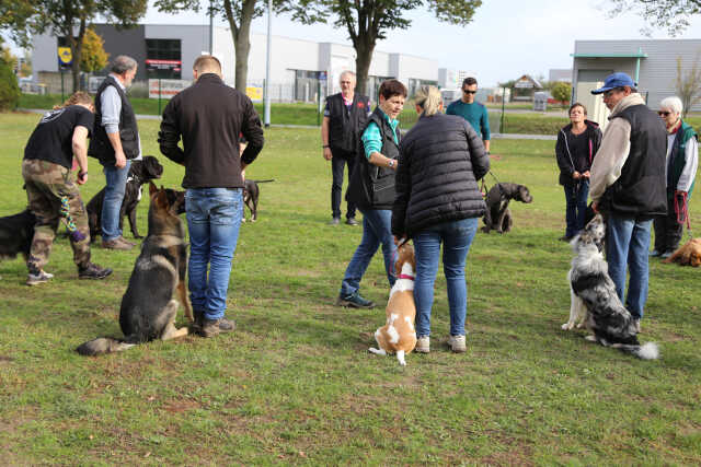 Semaine Nationale du Chien - démonstrations
