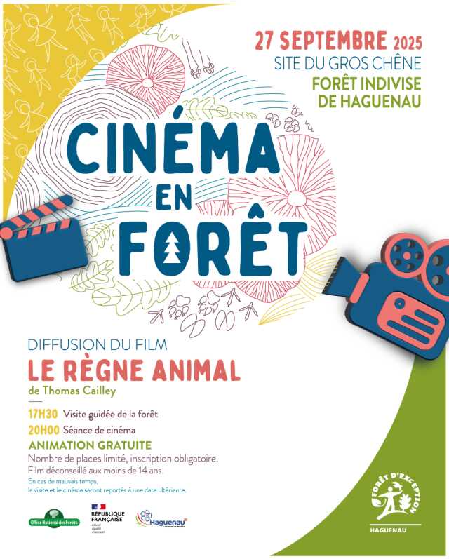 Cinéma en forêt