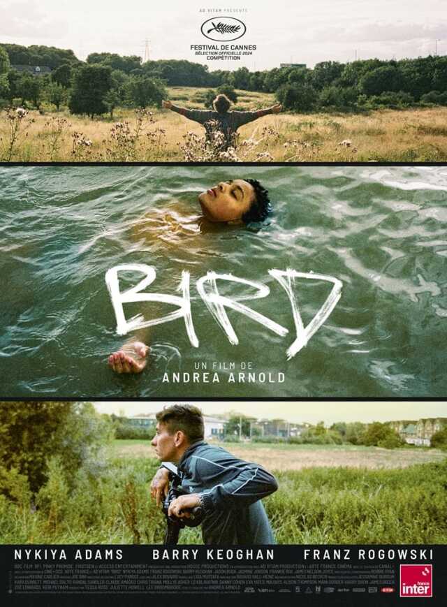 Cinéma - Bird