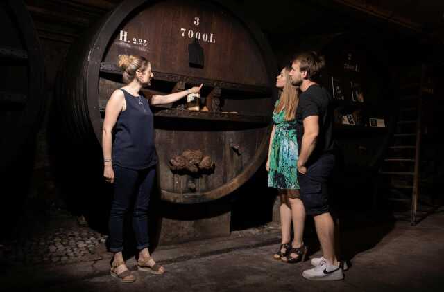 Légendes, histoires et surprises d'une cave centenaire