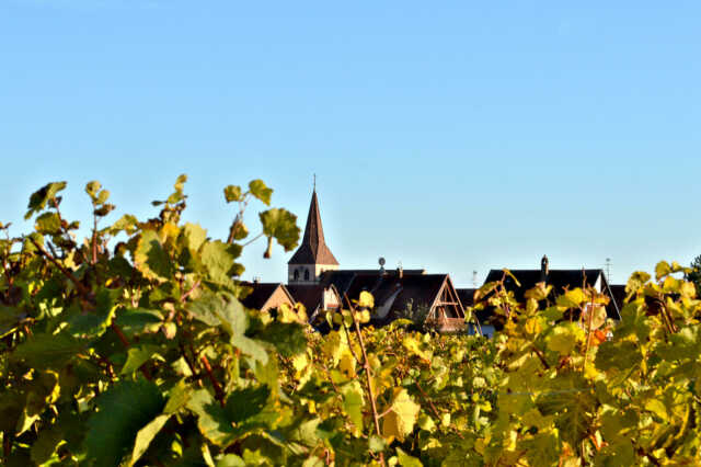 Soirée Alsace Touraine