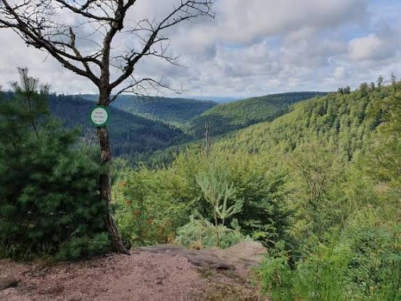 Trail des 3 rochers