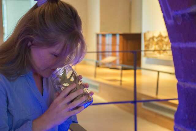 A la découverte du musée - Visite sensorielle