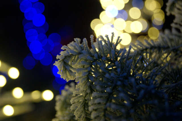 Illumination du sapin et du calendrier de l’Avent