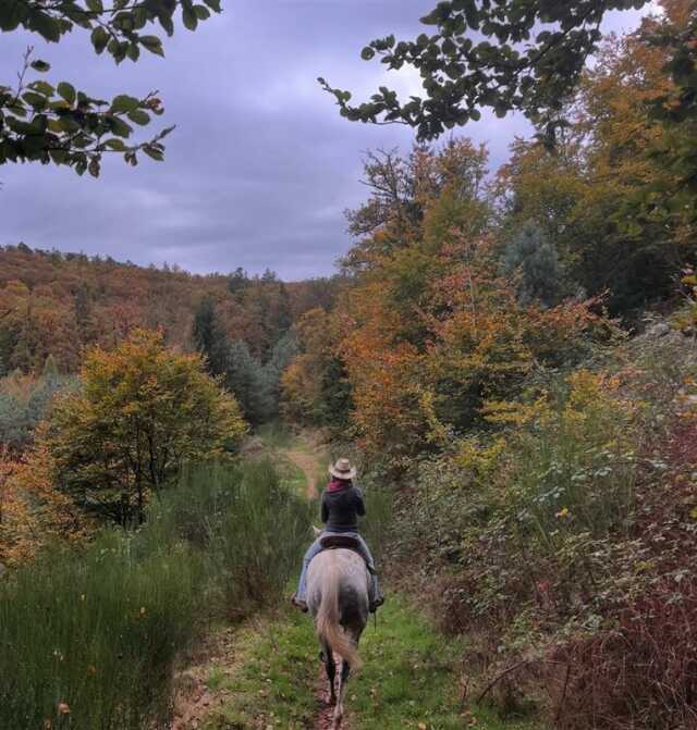 Balade à cheval automnale
