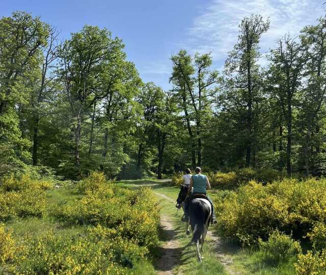 Balade à cheval