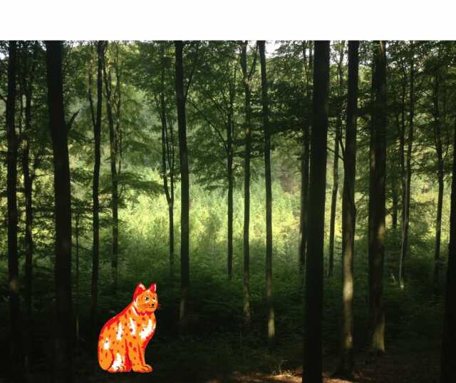 La vie mystérieuse du Lynx