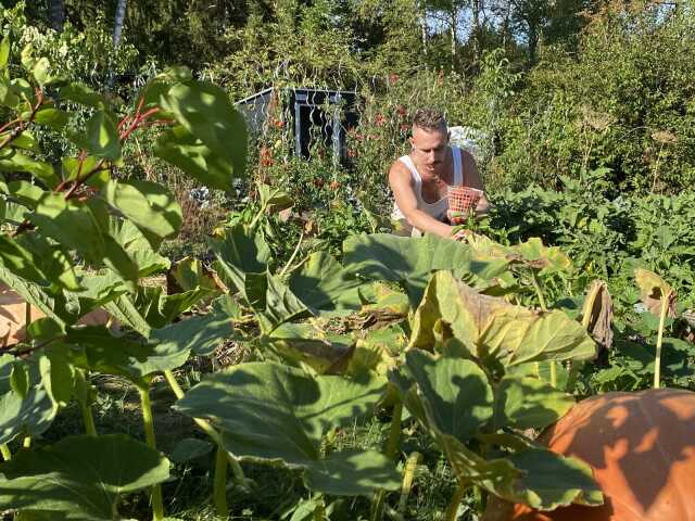 Balade au cœur d’un jardin durable et vivant