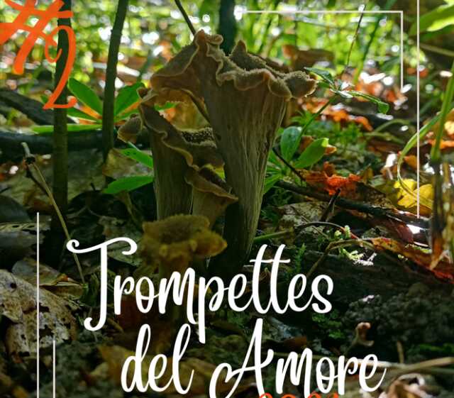 Trompettes del Amore