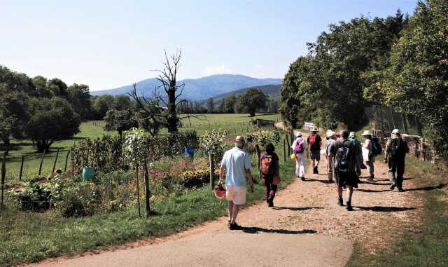 Balade à remonter le temps sur le sentier géologique