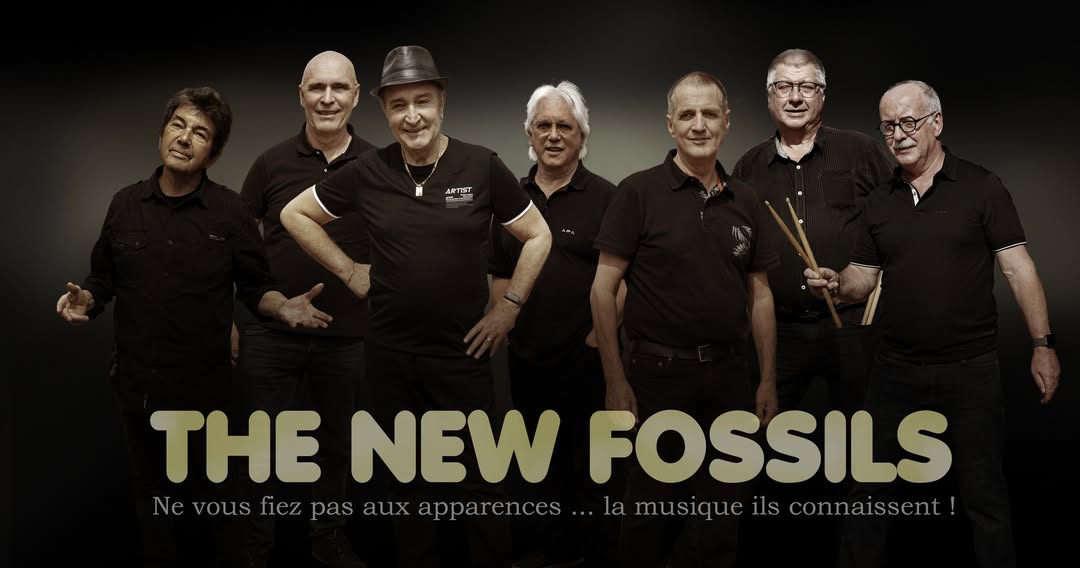 Concert Rock : The New Fossils