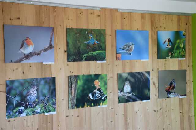 Exposition 