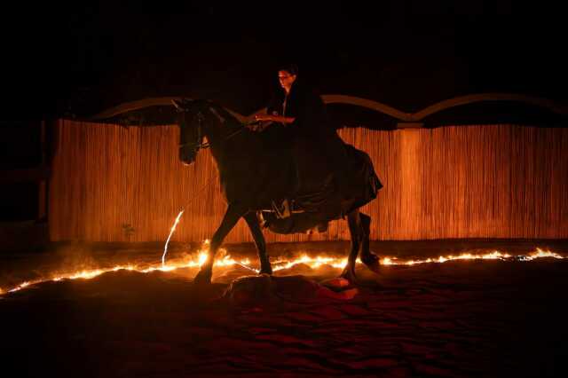 Spectacle équestre et jonglerie de feu