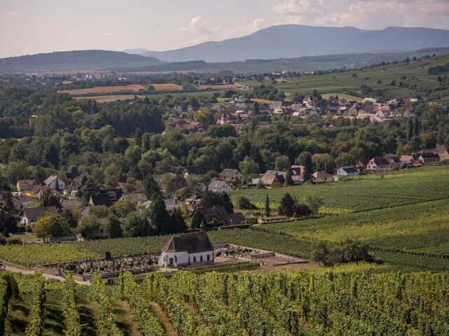 Visite libre dans le village viticole de Wolxheim