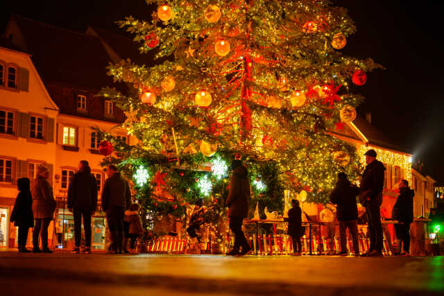 Chantons Noël sous le sapin