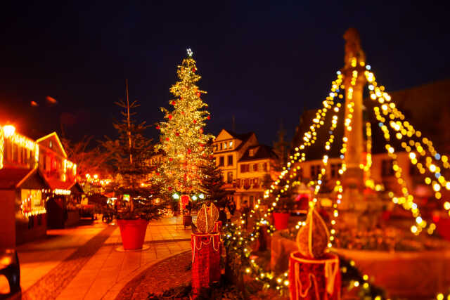 Lancement des illuminations de Noël et du sapin