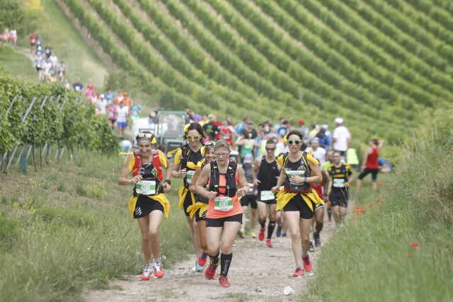 Marathon du vignoble d'Alsace