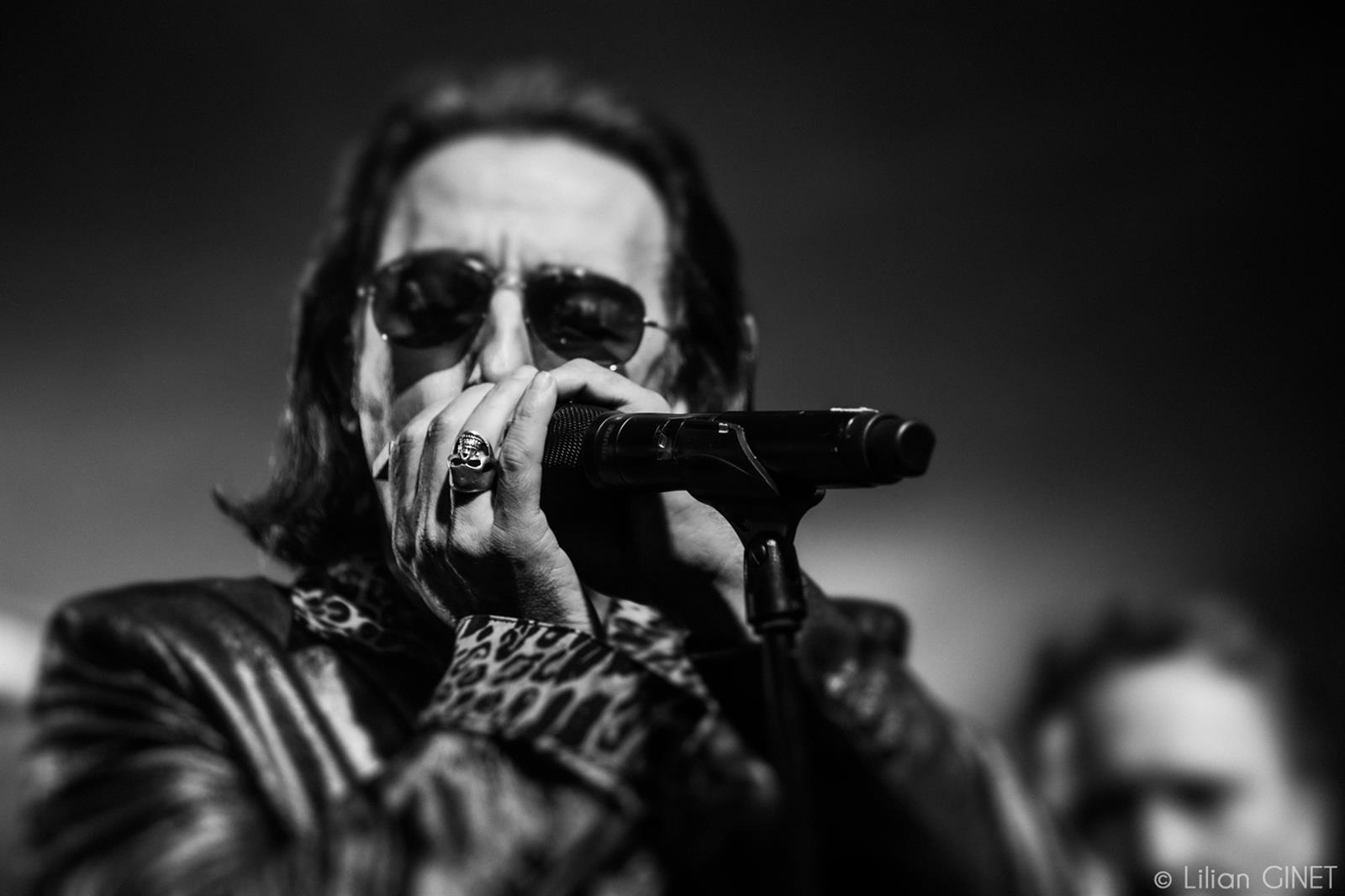 Johnny Hallyday Rock'n'Roll Show
