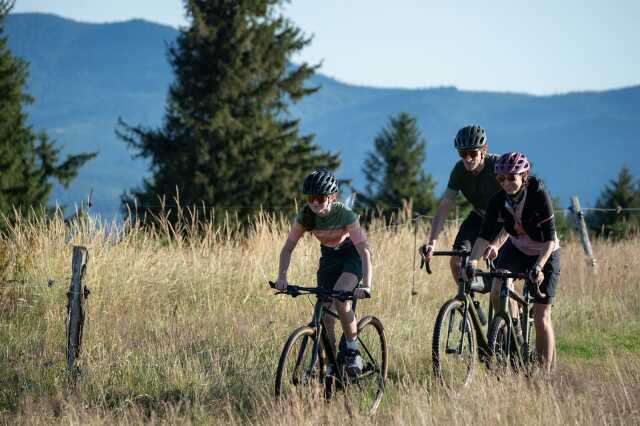 Découvrez la région de Molsheim-Mutzig à vélo
