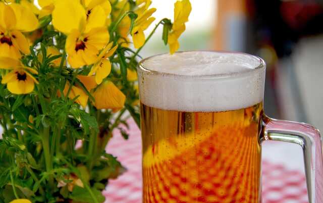 Soirée Octoberfest