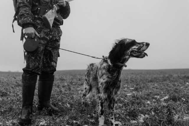 Chasse - Battues sur le terrain militaire