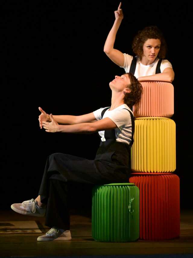 Comédie - Madame Bovary en moins long et plus drôle