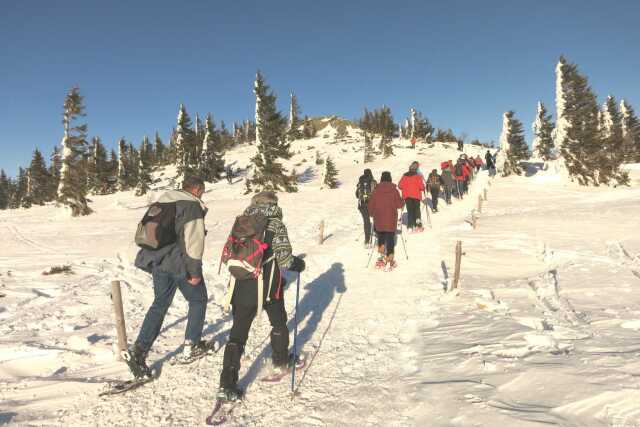 Club Vosgien : Randonnée raquettes du Wettstein au lac du Forlet