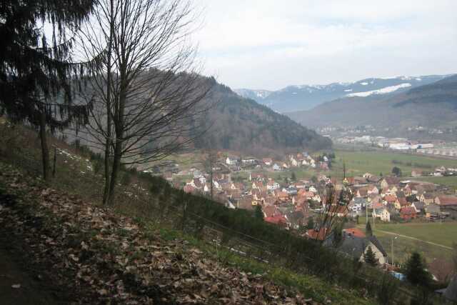 Club Vosgien : La sapinière à Griesbach