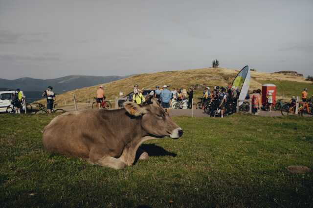 Col'Attitude : Col du Petit Ballon