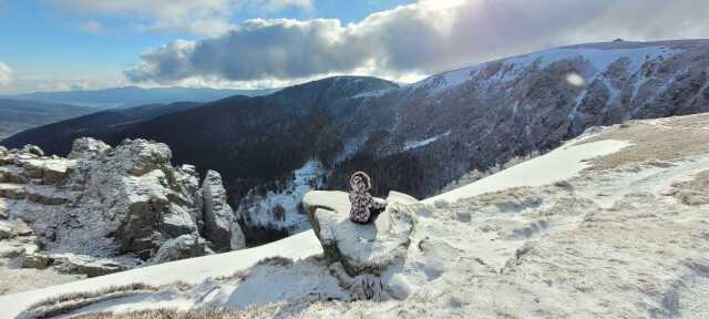 Bain de forêt hivernal et sophrologie