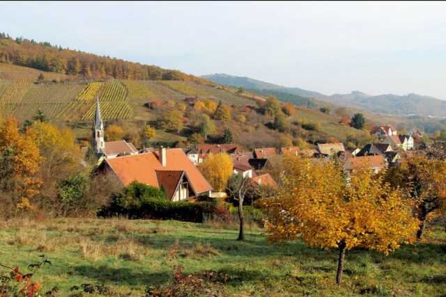 Club Vosgien : Marche douce à Zimmerbach