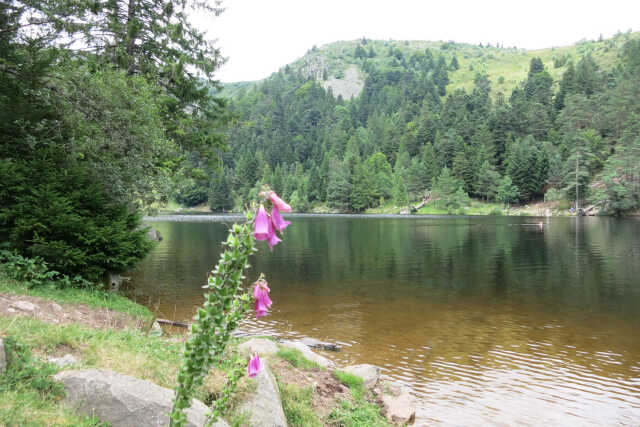 Club Vosgien : Le circuit des deux lacs