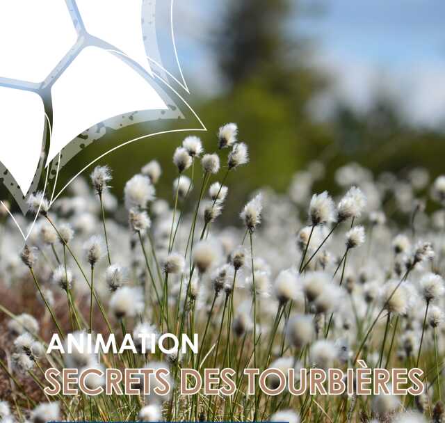 Animation Secrets des Tourbières