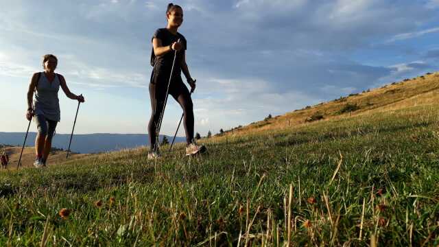Sortie Nordic Walking