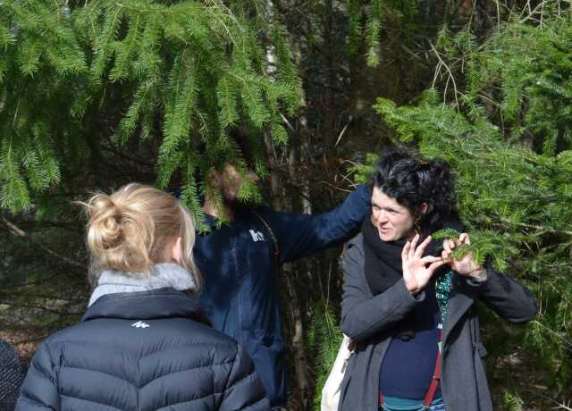 Balade contée à la rencontre des arbres