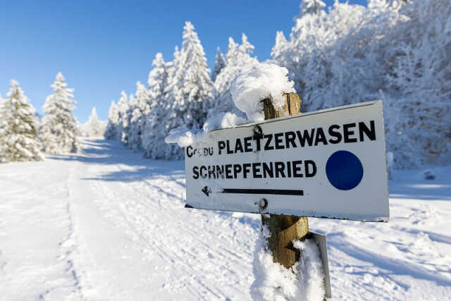 Sortie dominicale au Platzerwasel