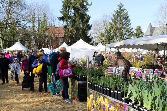 Marché aux plantes