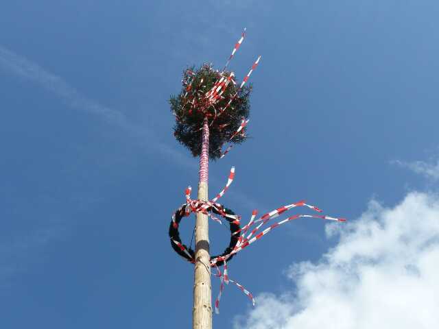 Maibaum à Riedisheim