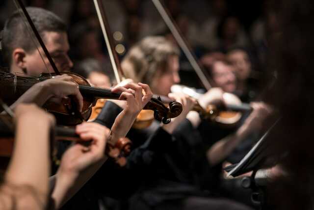 Spectacle musical : la grande symphonie zoologique