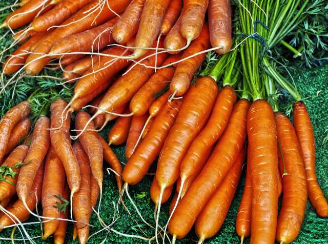 Fermes ouvertes : Les champs d'Orion