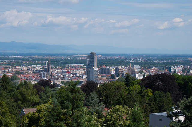 Balade guidée : Mulhouse vue d'en haut
