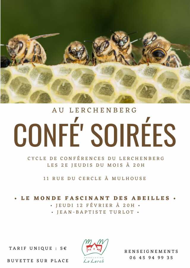 Confé' Soirées - Le monde fascinant des abeilles