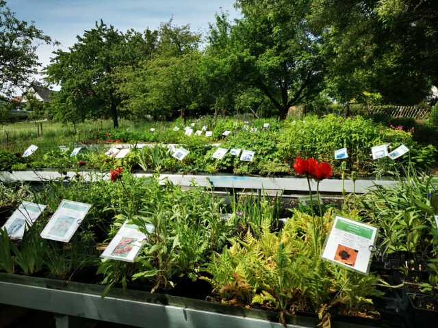 Jardiner pour la biodiversité