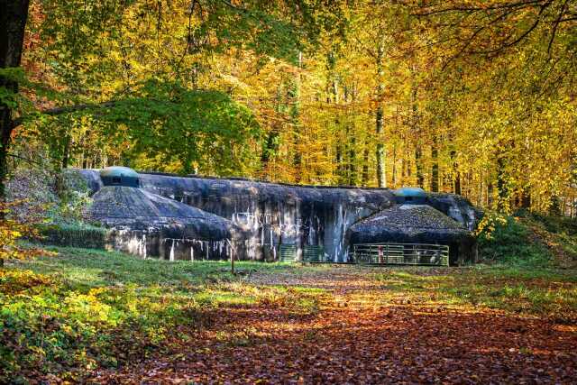 Visite libre et insolite du Fort de Schoenenbourg