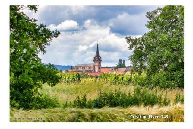 Exposition - Batsch Photos