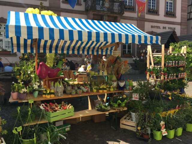 Marché de printemps paysan