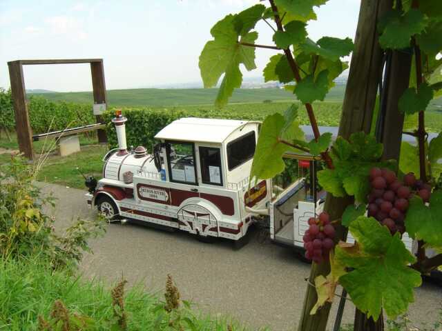 Visite de Ribeauvillé et de Hunawihr par le vignoble en petit train touristique