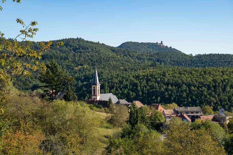 Marche gourmande de Thannenkirch